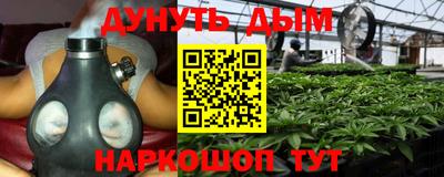амф Гай