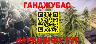 амф Гай