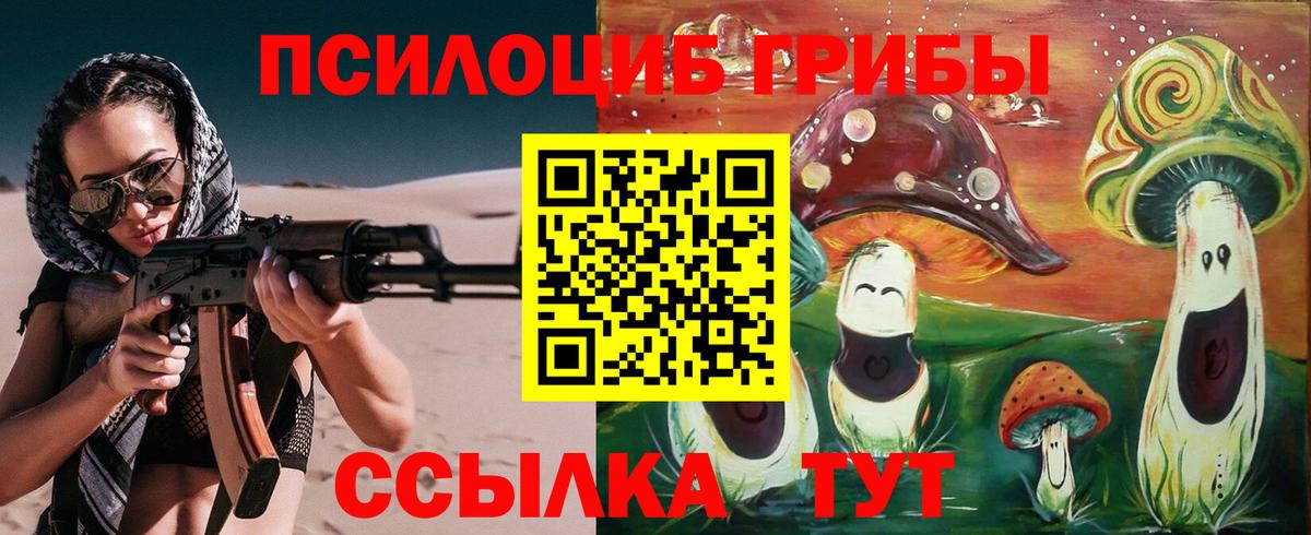 Ростов Великий  Псилоцибиновые грибы Magic Shrooms  Вход с VPN 