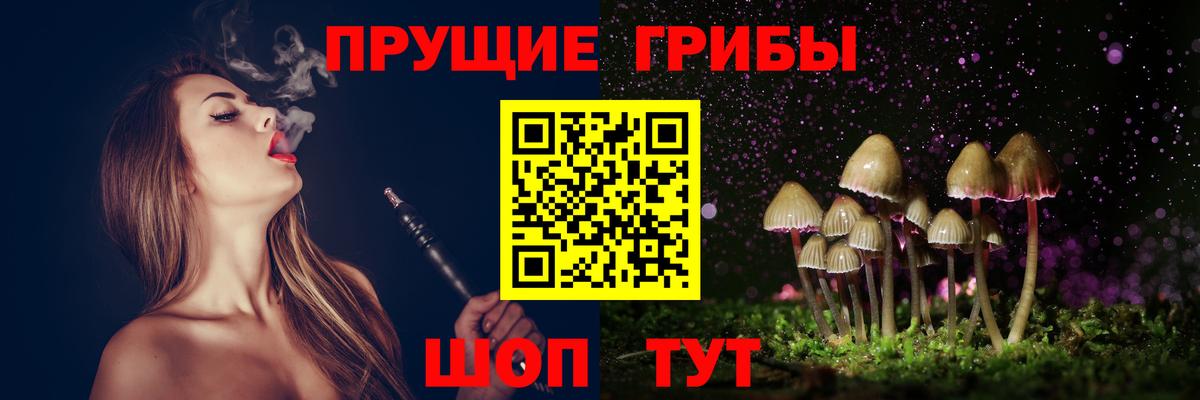 Псилоцибиновые грибы мицелий Ростов Великий