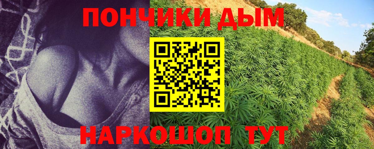Каннабис гибрид Ростов Великий